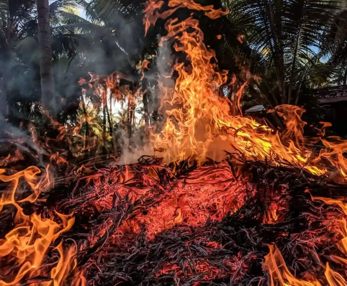 Последствия рекордного сезона пожаров усугубляются глобальным потеплением. Фото: Guduru Ajay bhargav/pexels.com