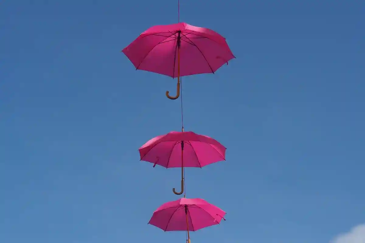Правила ухода за зонтом: как правильно сушить зонт. Фото: Rafael Garcin / unsplash.com