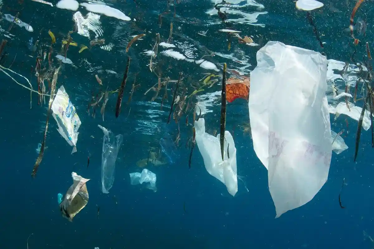 Пятно мусора в Тихом океане состоит из отходов рыболовства