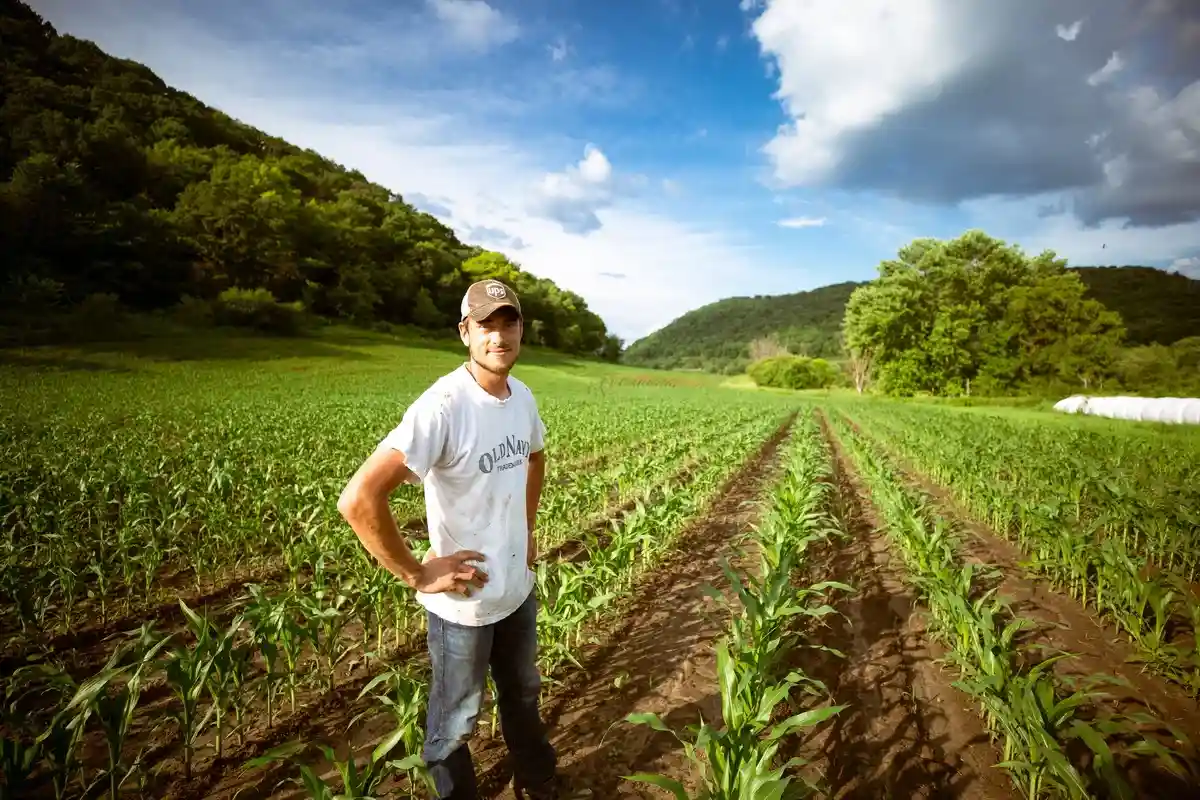 Роботы в сельском хозяйстве: фермеров заменят беспилотники фото 1