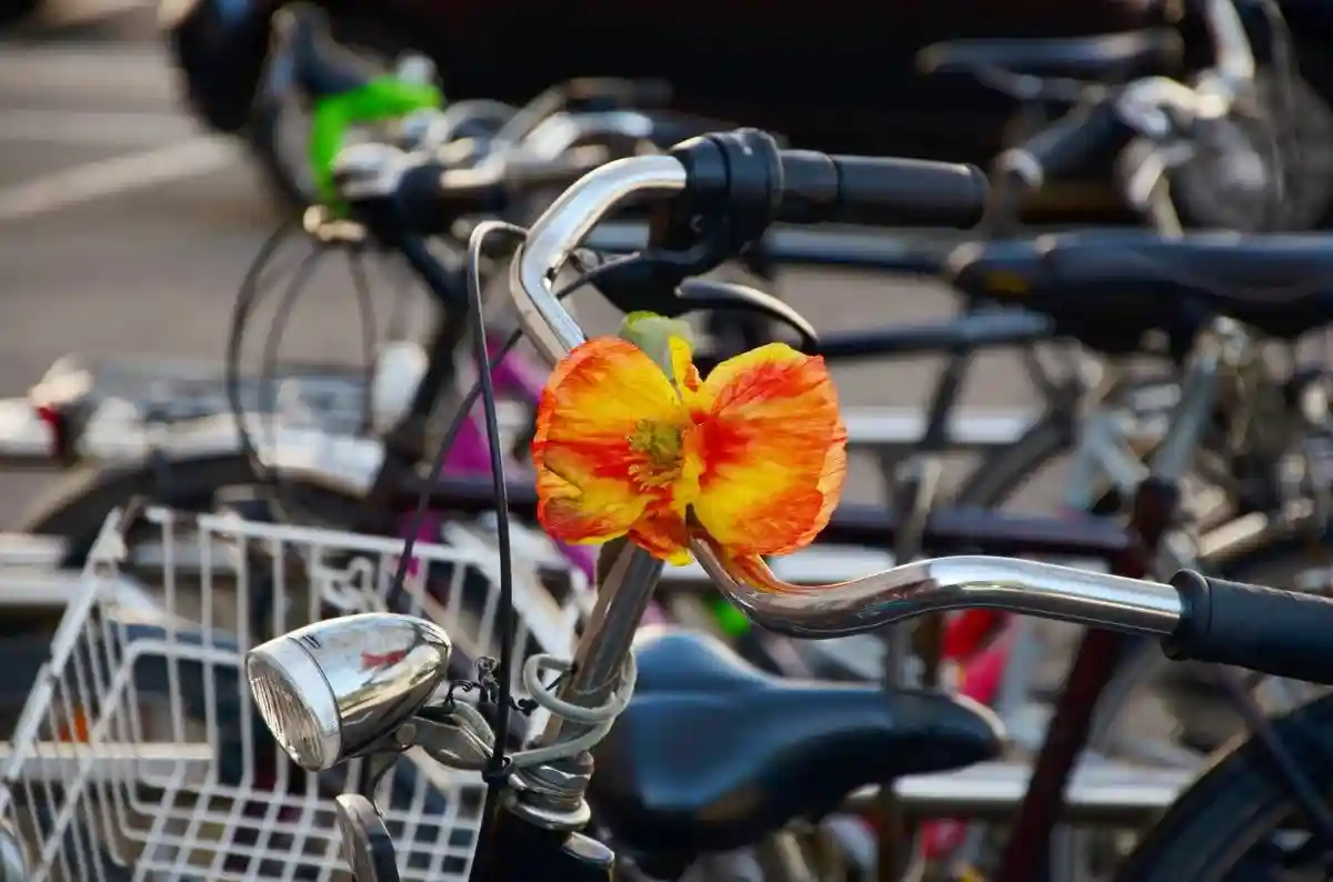 Самый «велосипедный» город Германии — Бремен. Фото: congerdesign / Pixabay.com