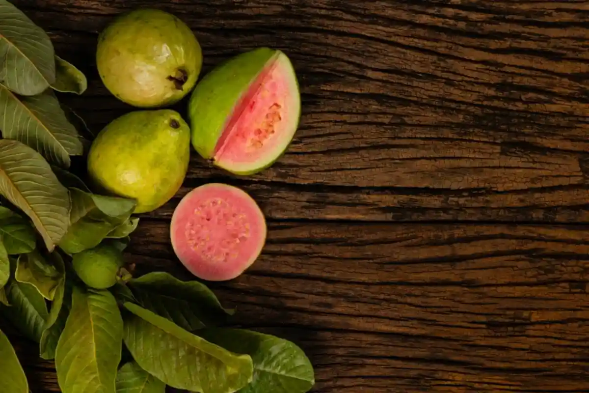 Гуава входит в те шесть тропических фруктов, которые легко вырастить на кухне. Фото: Julio Ricco / Shutterstock.com