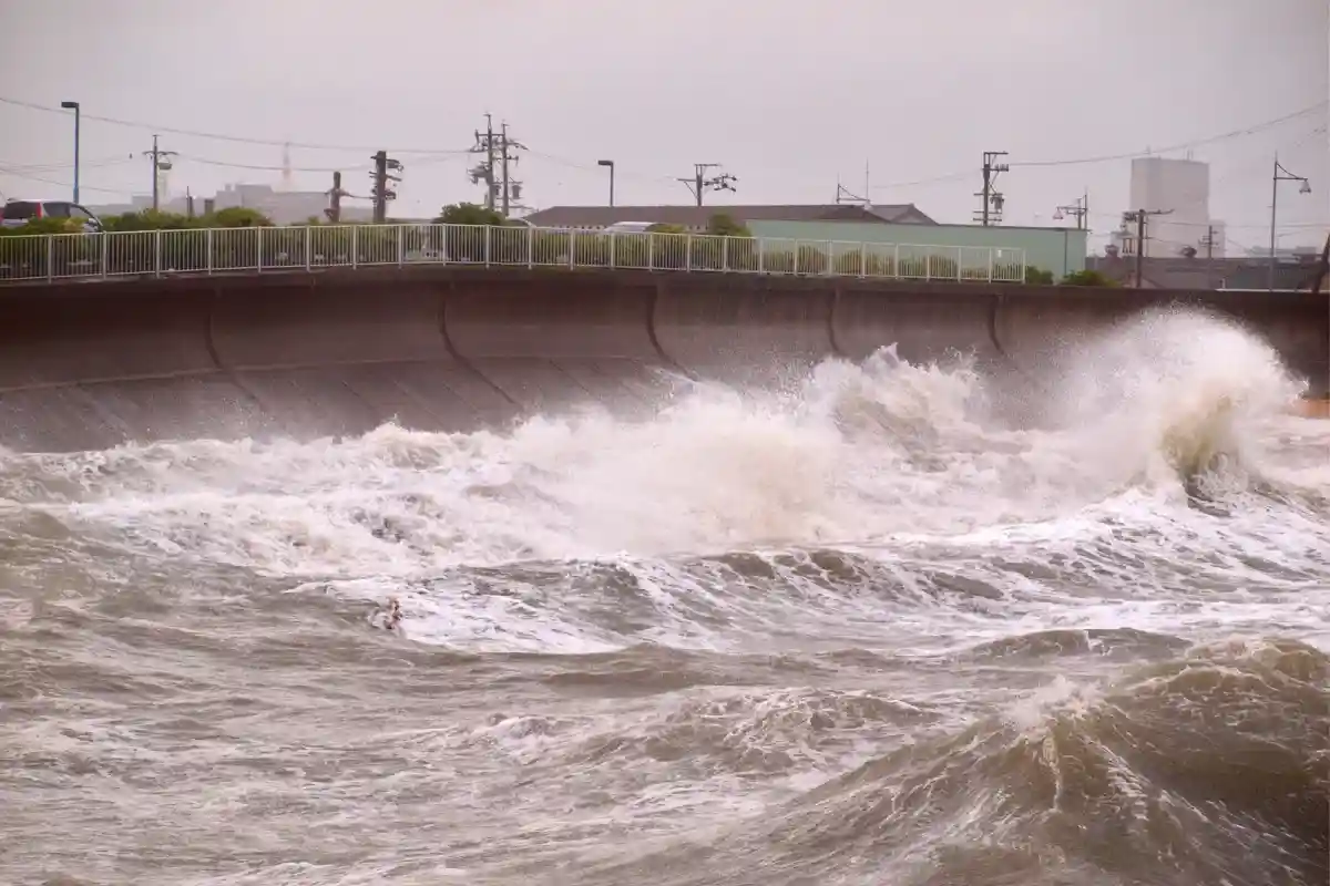 На Японию надвигается супертайфун. Фото: Dan Goro / Shutterstock.com