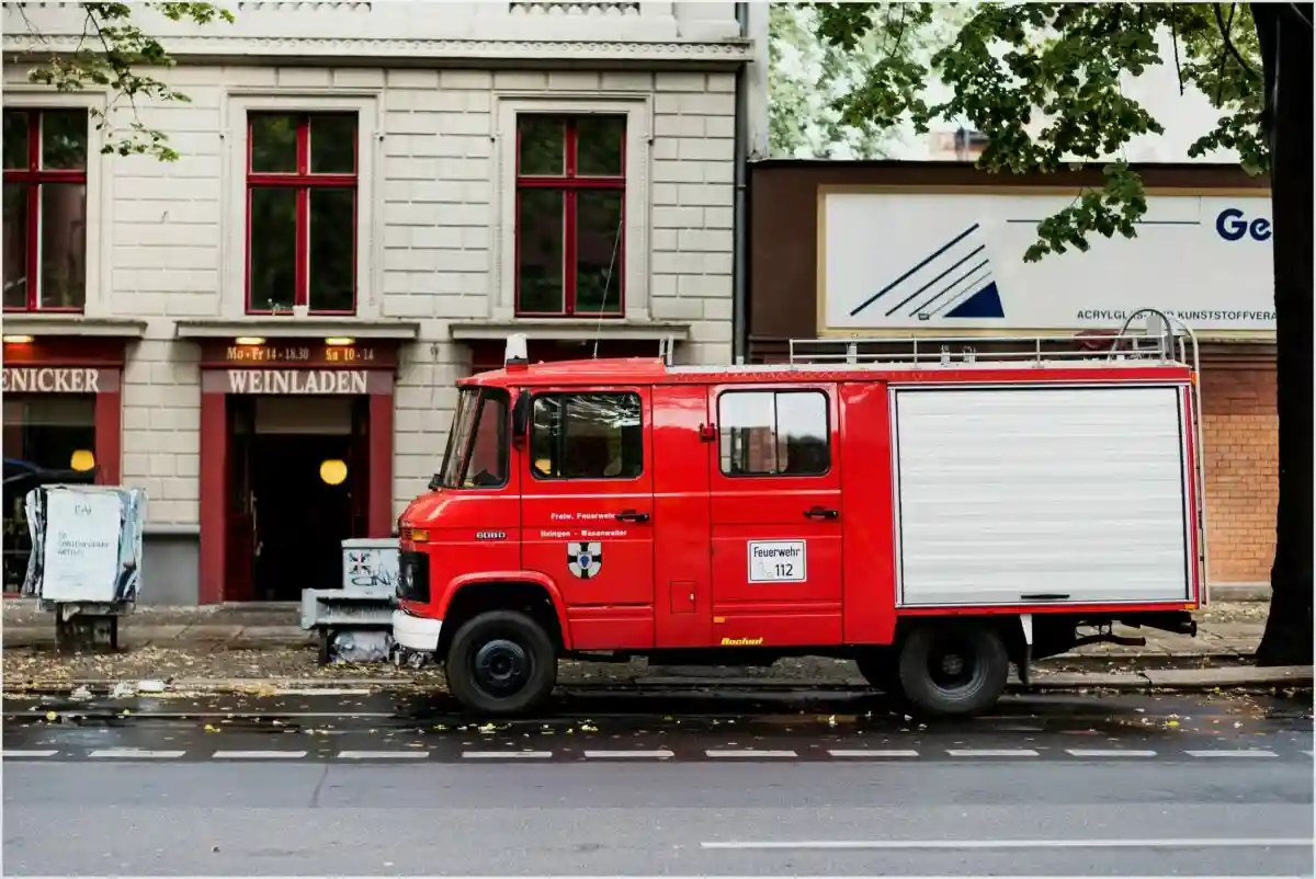 В Аугсбурге пожарная команда спасла больше дюжины ласточек