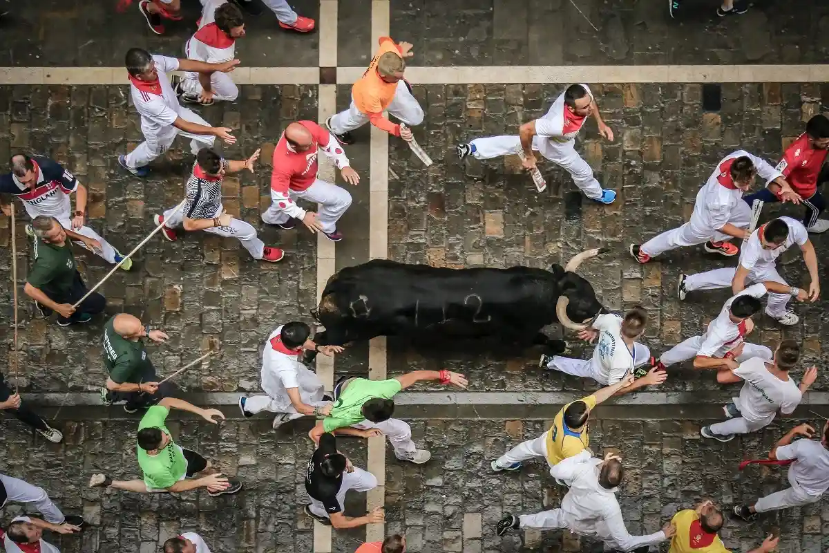 В Испании быки ранили почти 400 человек. Фото: San Fermin Pamplona - Navarra / unsplash.com