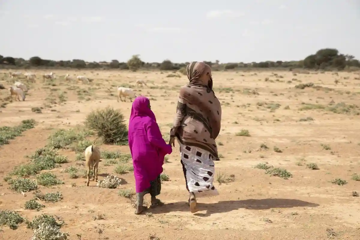 В Сомали с начала года более 700 детей умерли от голода