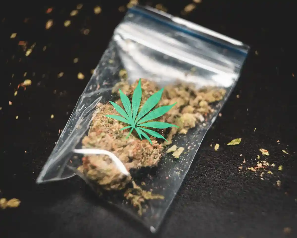 Канберра стала первым городом Австралии, в котором легализовали марихуану. Фото: GRAS GRÜN/Unsplash.com
