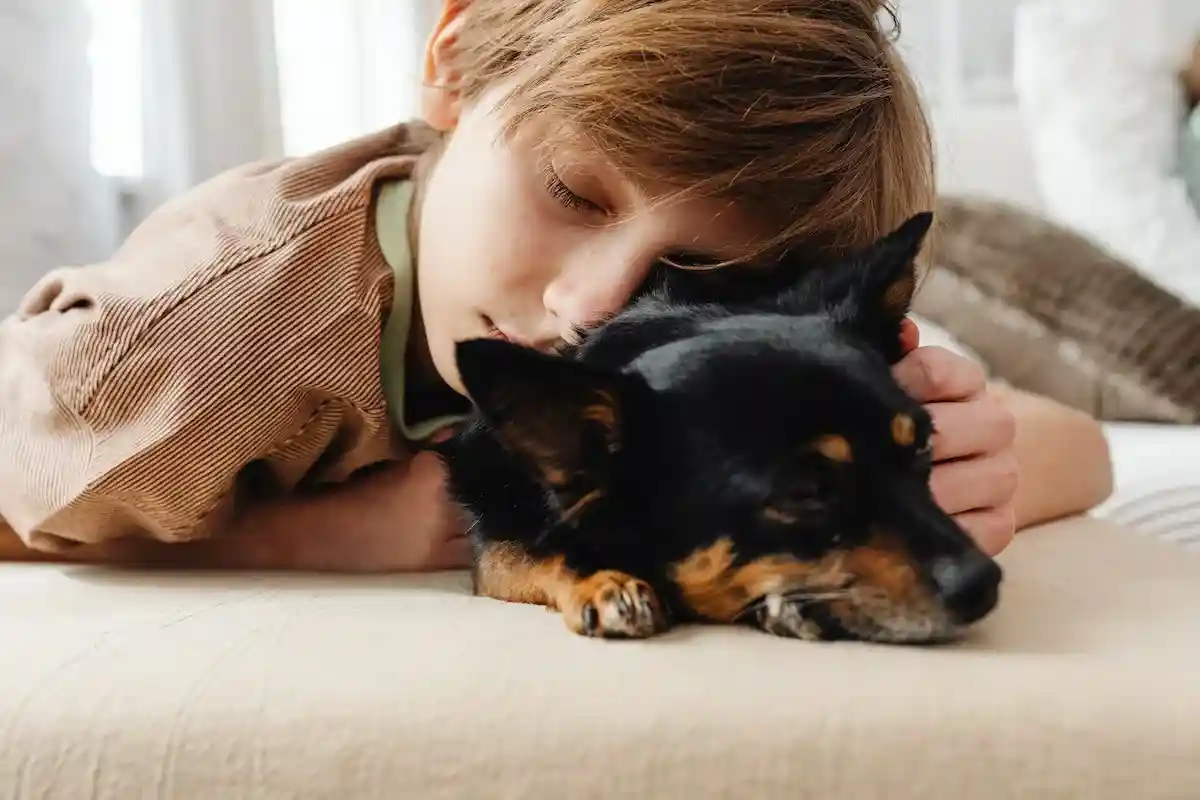 Защитный инстинкт у собаки и ребенок: какое поведение пса опасно