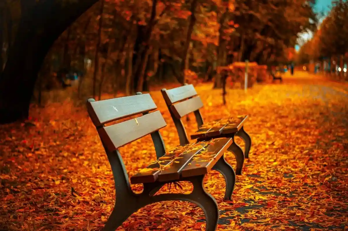 7 вещей, за которые стоит полюбить осень. Фото: Pepper Mint / Pixabay.com