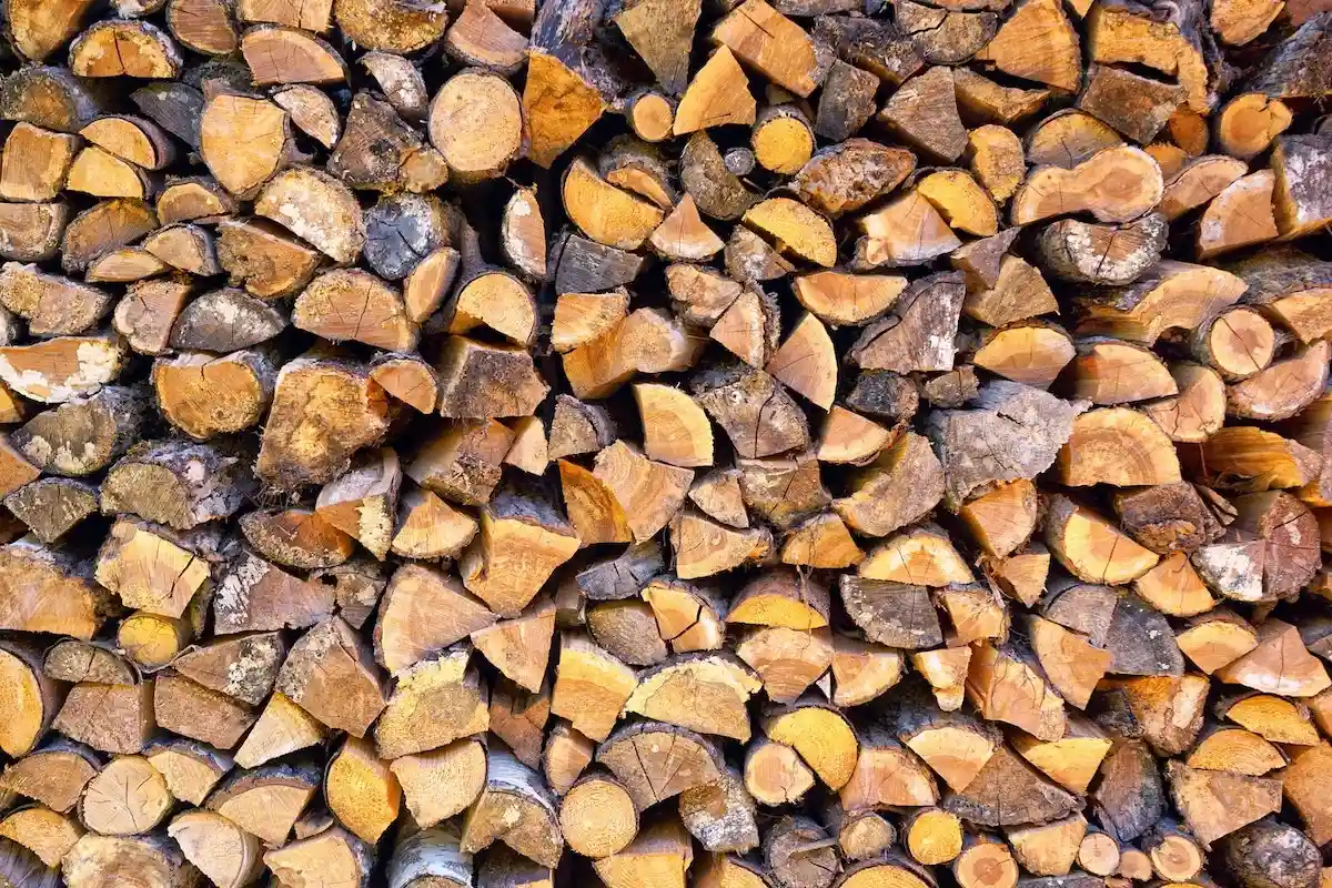 Что хорошо горит в камине? В зависимости от породы дерева, свойства горения различаются. Фото: Johannes Plenio / Pexels.