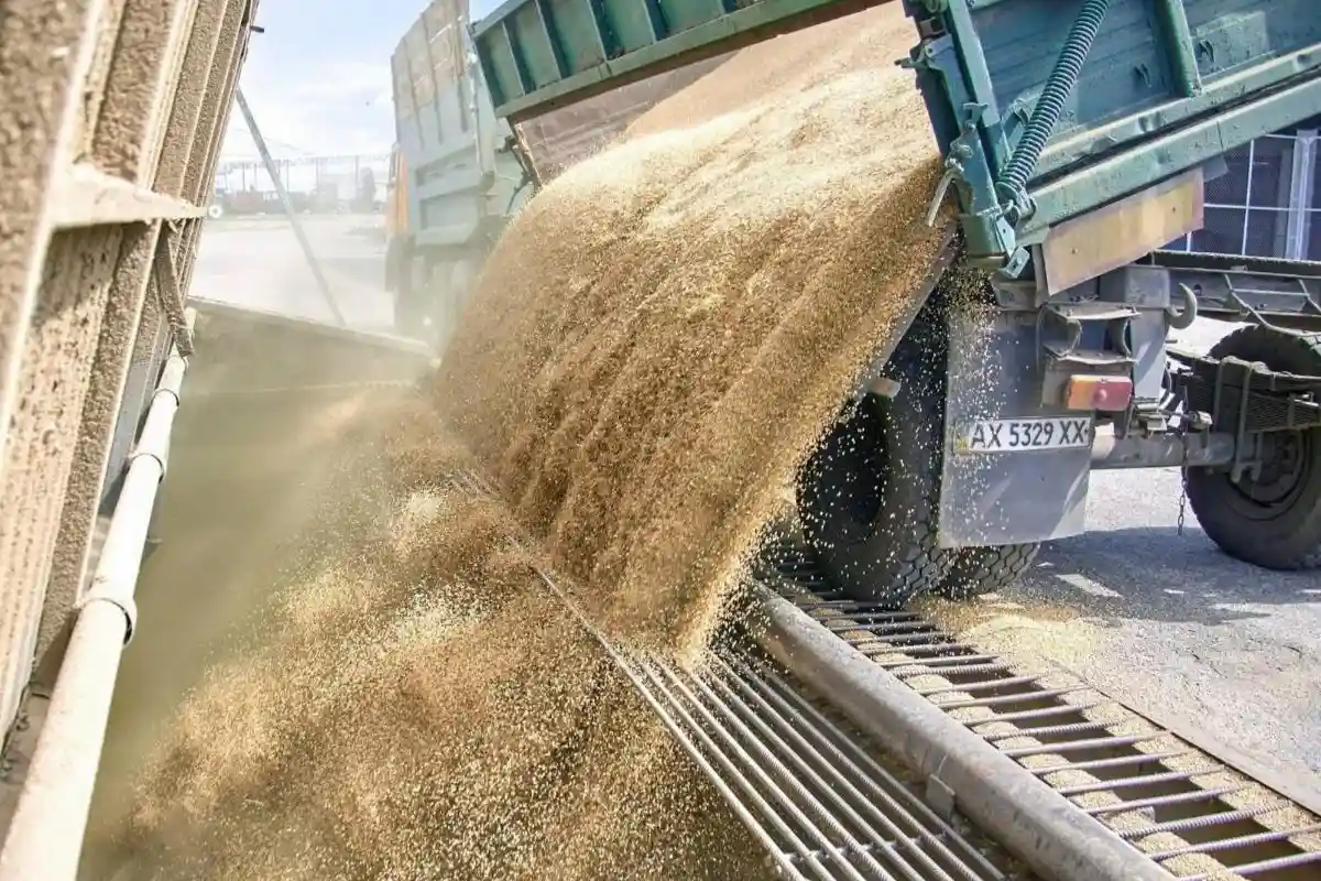 Что означает выход России из зерновой сделки