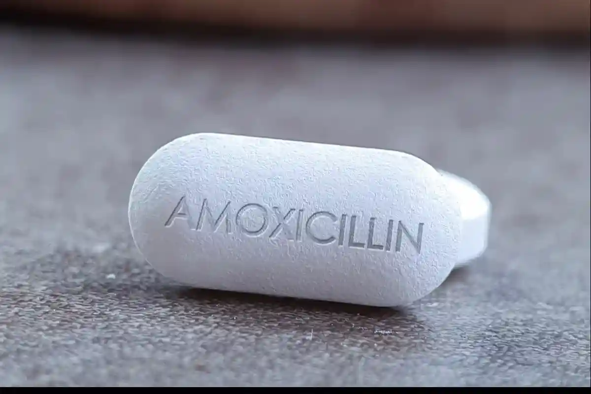 FDA предупреждает о нехватке антибиотика амиксициллина. Фото: Sonis Photography / shutterstock.com