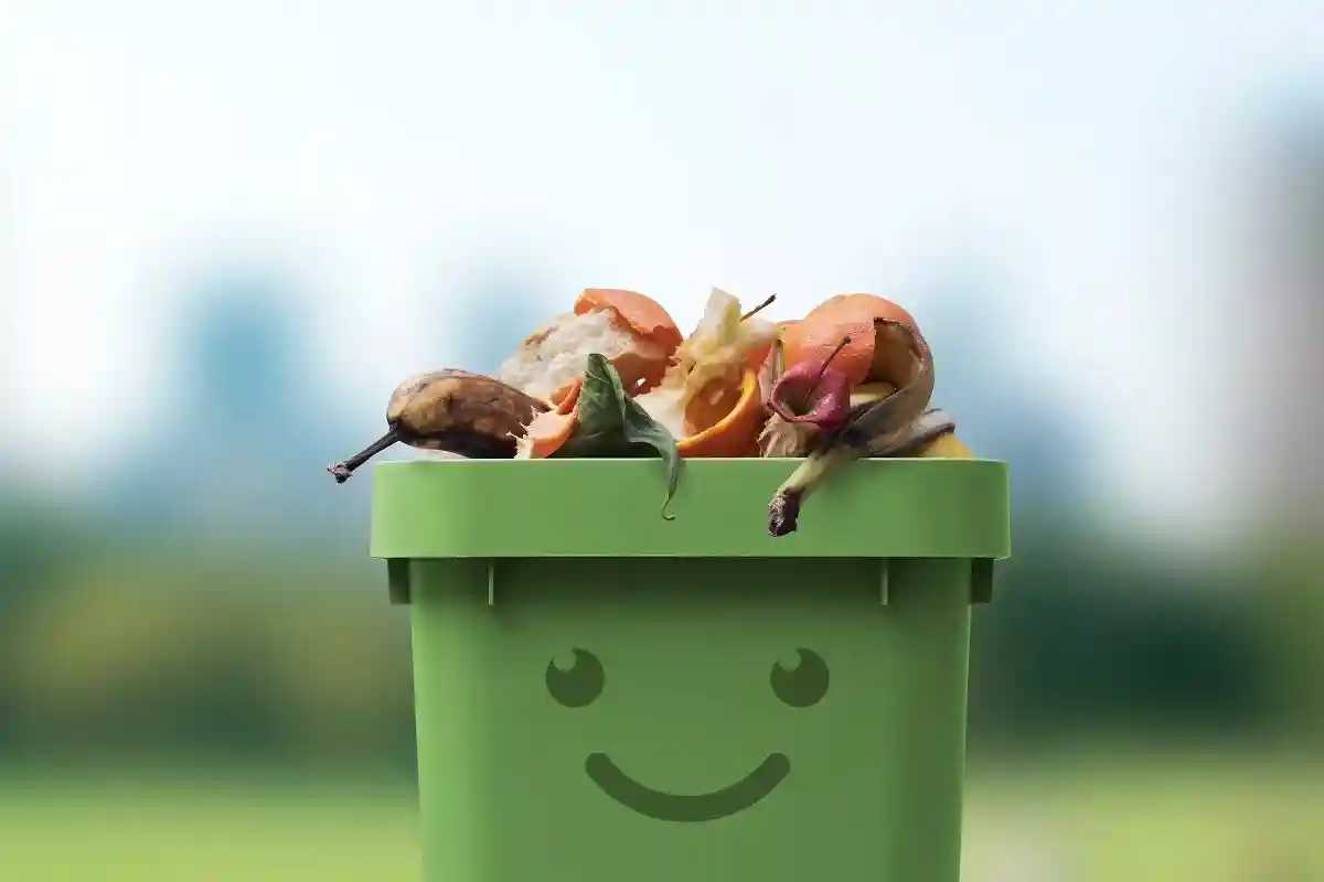 Если растительные отходы не утилизируются в соответствии с правилами, это является административным правонарушением. Фото: Stokkete / shutterstock.com