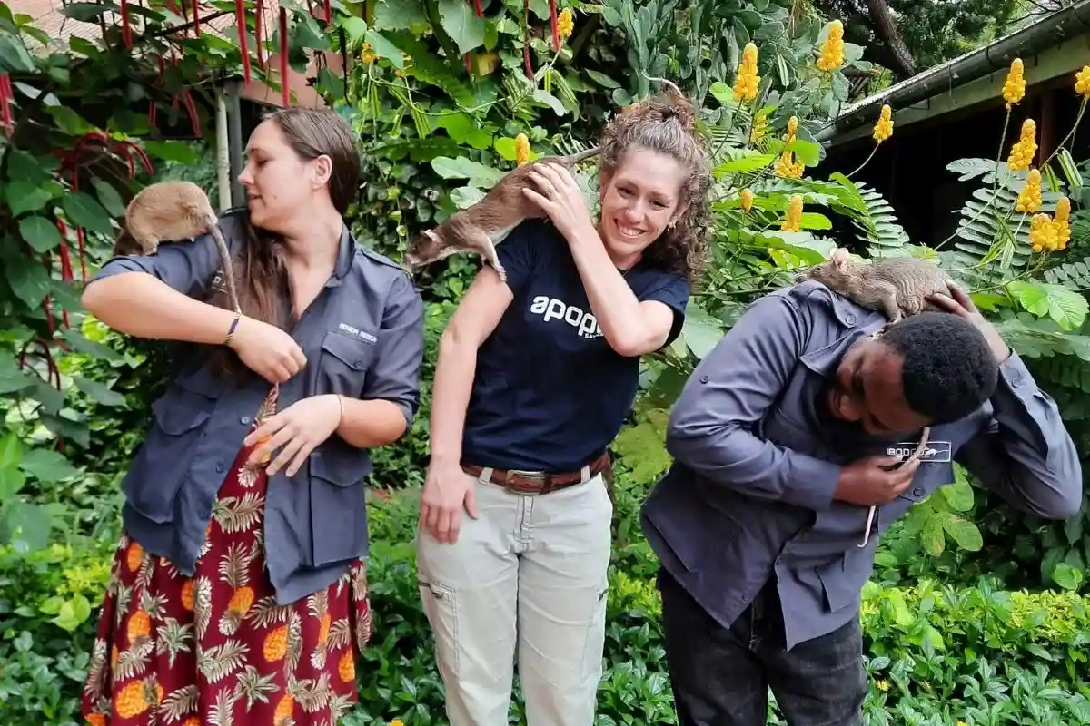 Сотрудники APOPO в Танзании с подопечными. В центре руководительница проекта Донна Кин. Фото: donnaeilidhkean / twitter.com