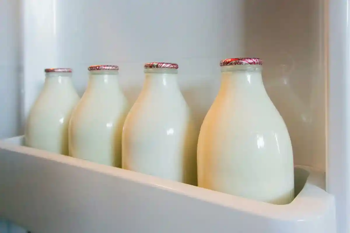 Как правильно хранить молоко, чтобы не причинить вред своему здоровью. Фото: Sue Martin / shutterstock.com