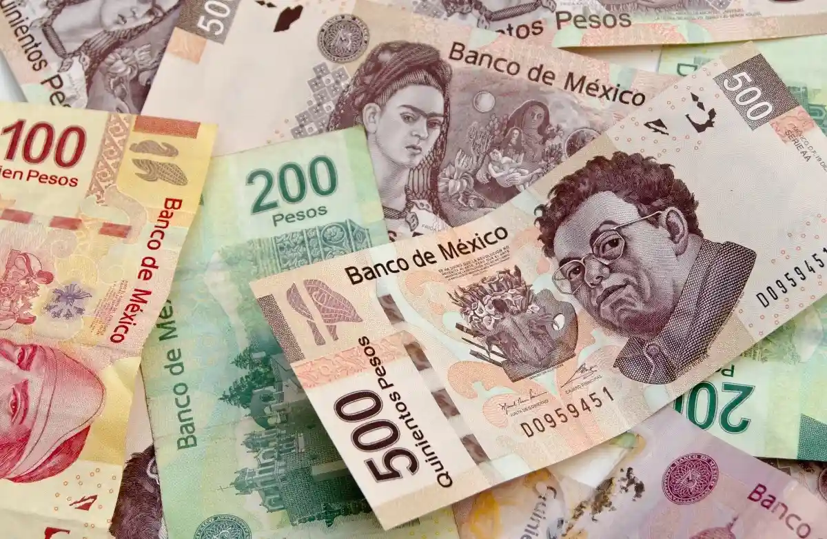 Песо стал одной из самых доходных валют в условиях рецессии.Фото: AGCuesta / Shutterstock.com