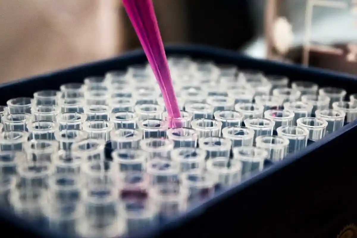 Китай собирает образцы ДНК: с 2016 года собрано примерно 1,2 миллиона образцов. Фото: Louis Reed / Unsplash.com