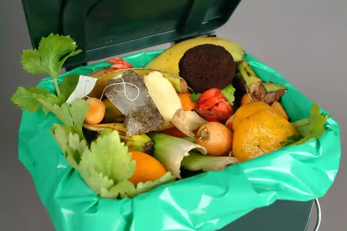 Чипсы из картофельной кожуры, или песто из листьев редиса - многие кухонные отходы вполне съедобны.