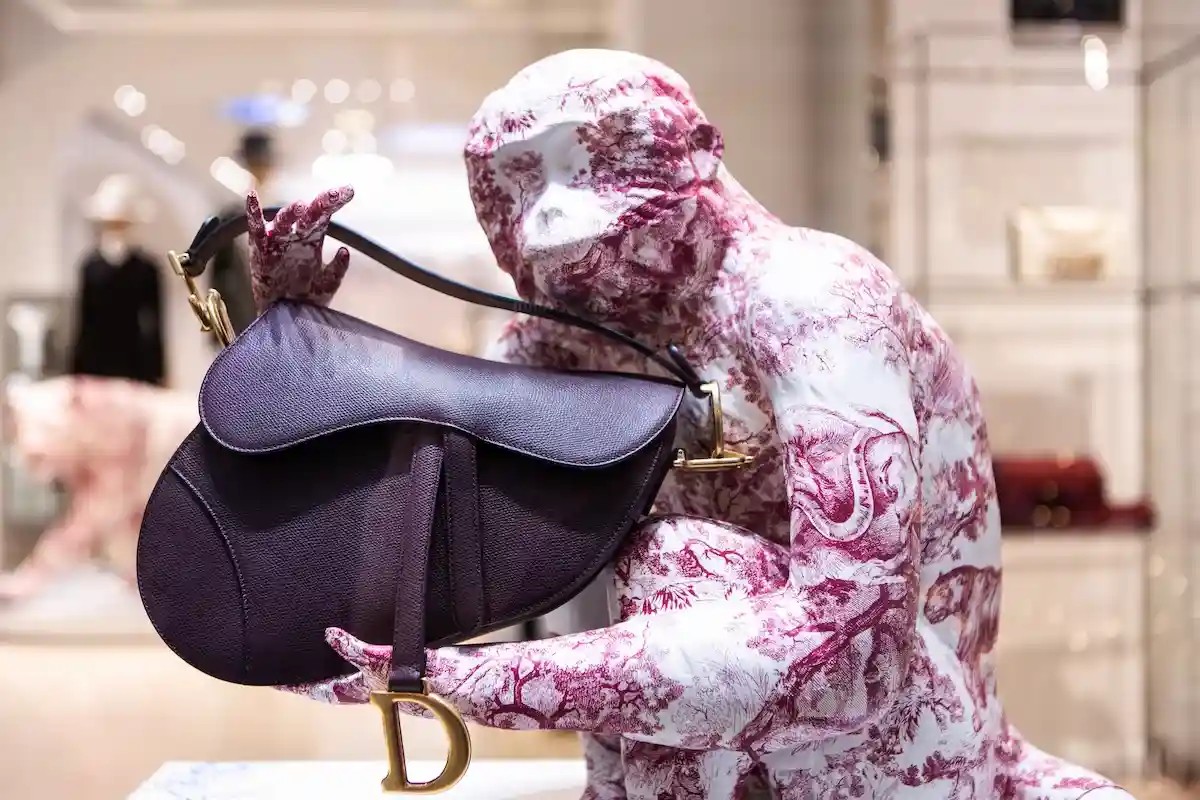 Сумка Saddle Bag от Dior. Фото: Papin Lab / Shutterstock.com
