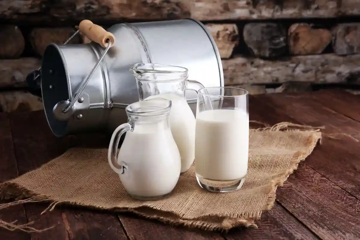 Коровье и растительное молоко: полезность напитков для человека. Фото: beats1 / shutterstock.com