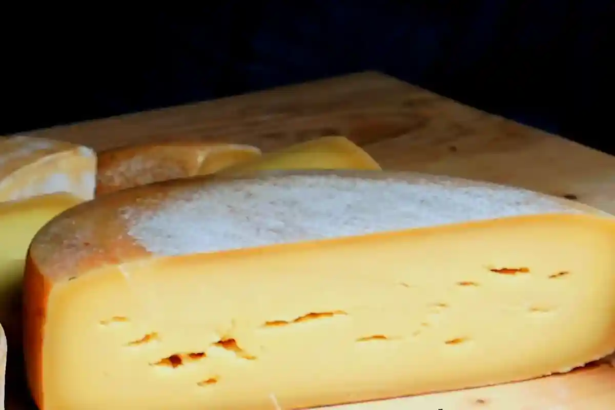 Можно ли есть сыр с белым налетом