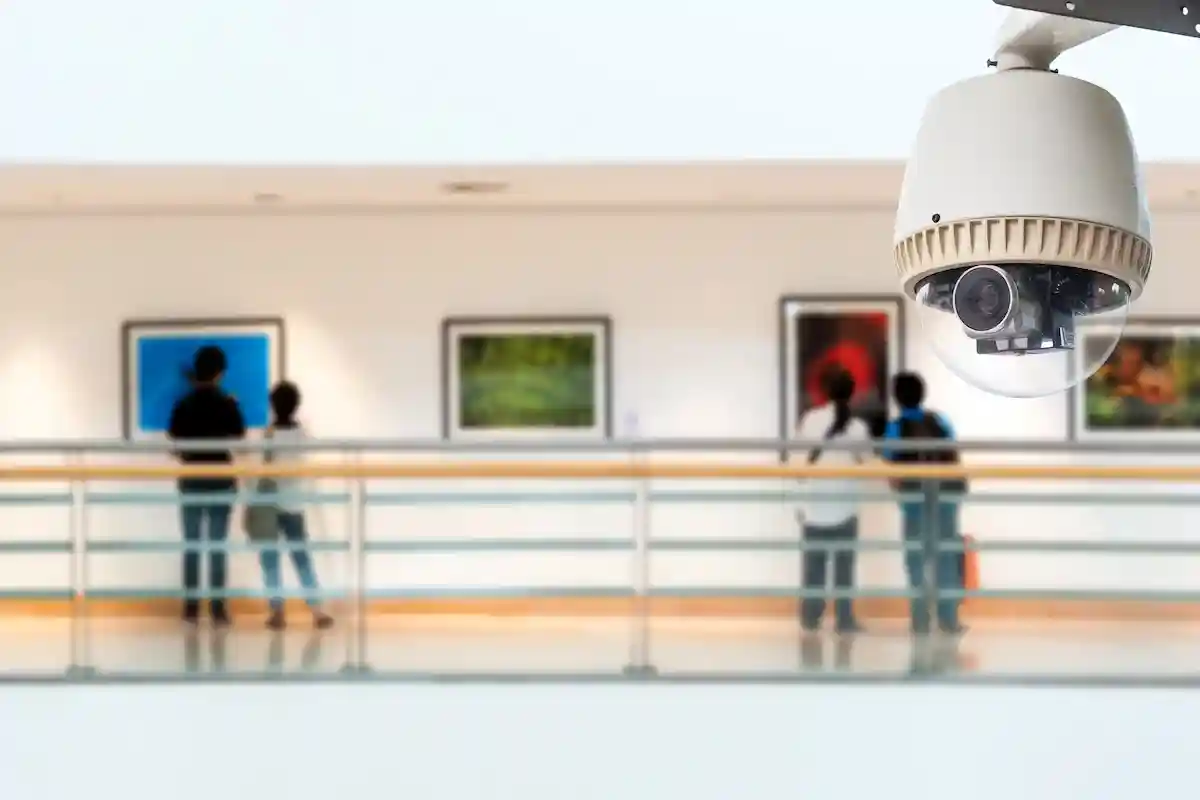 Немецкие музеи усилили защиту после нападения на картину Клода Моне. Фото: Vasin Lee / Shutterstock.com. 
