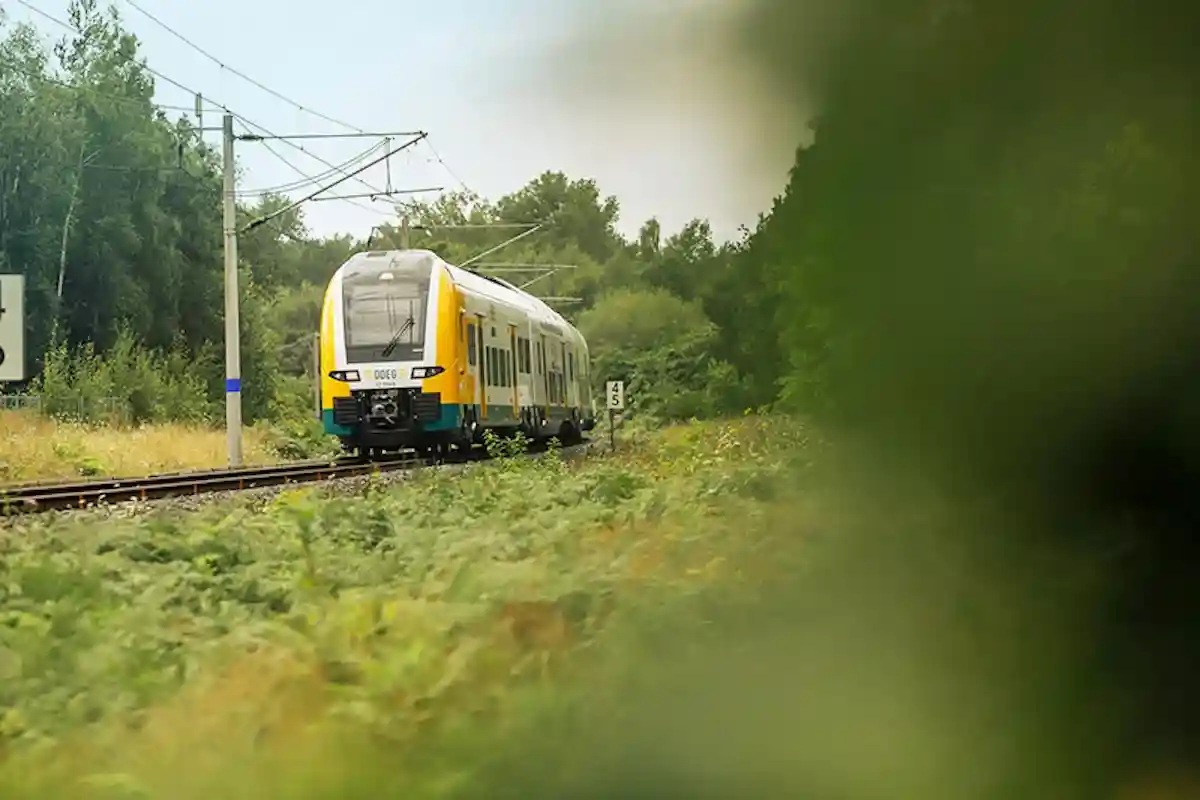 Новые поезда в Берлине будут курсировать на 17 линиях в Берлине и Бранденбурге. Фото: odeg-nes.de