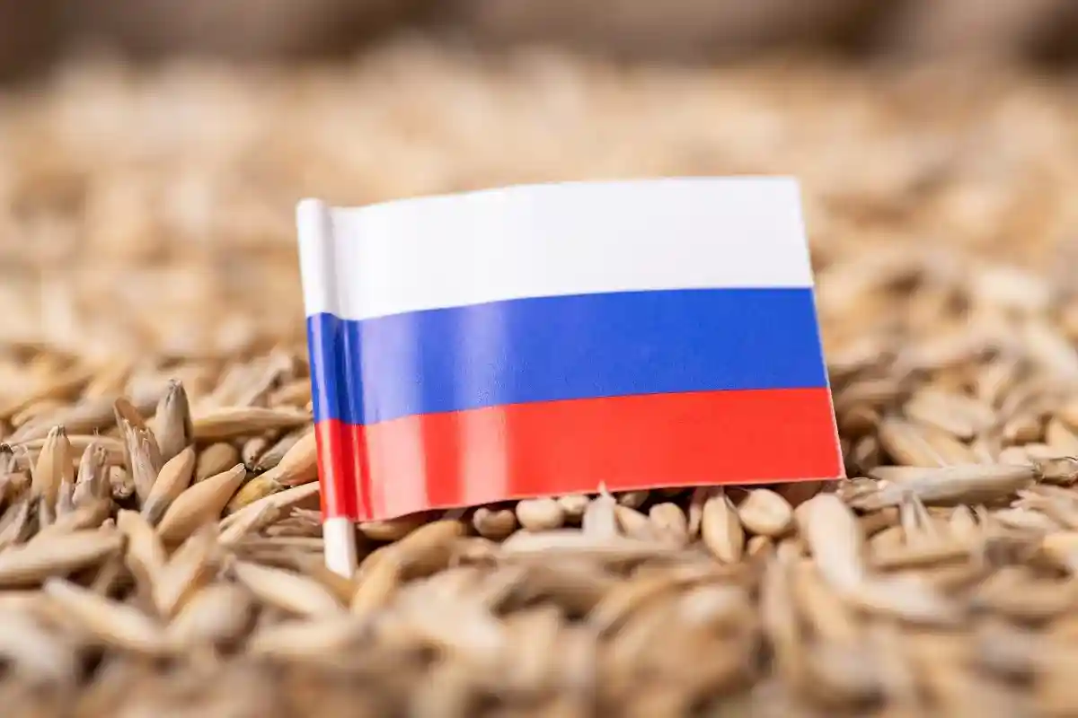 В этом году Россия соберет рекордный урожай, но Москва по-прежнему испытывает проблемы с экспортом своей продукции. Фото: Vitalii Stock / shutterstock.com