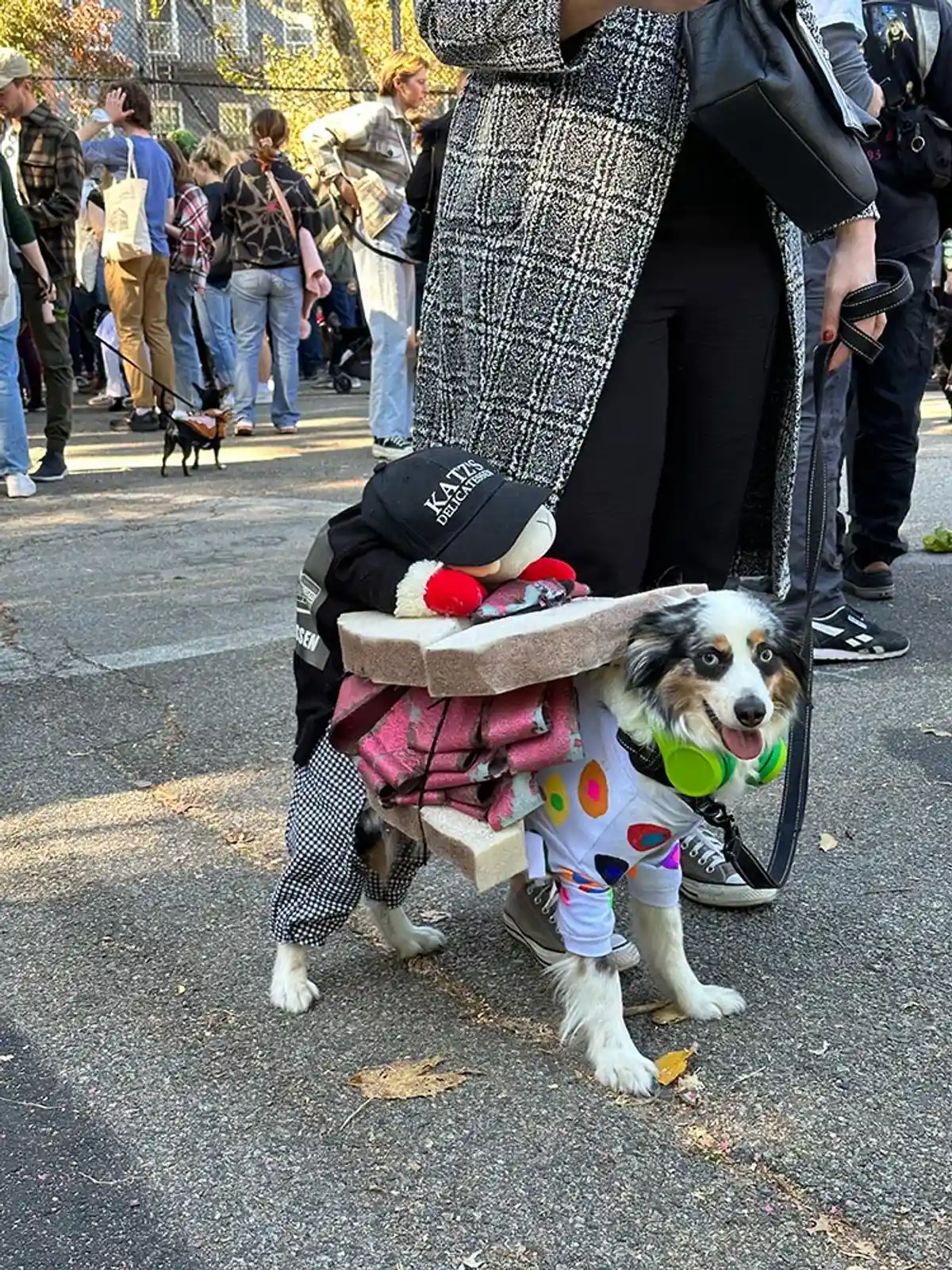 Собака в костюме сэндвича. Парад собак на Хэллоуин в Нью-Йорке. Фото: aussiedlerbote.de