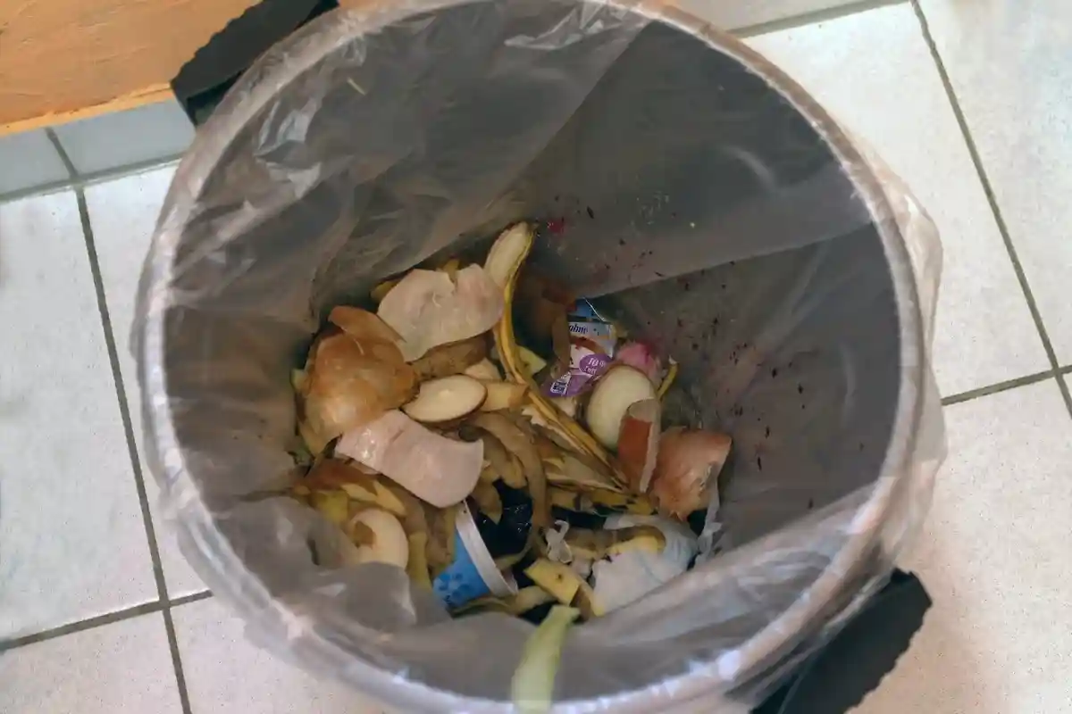 Пищевая сода в мусорном ведре нейтрализует запахи даже от органических отходов. Фото: kalhh / pixabay.com