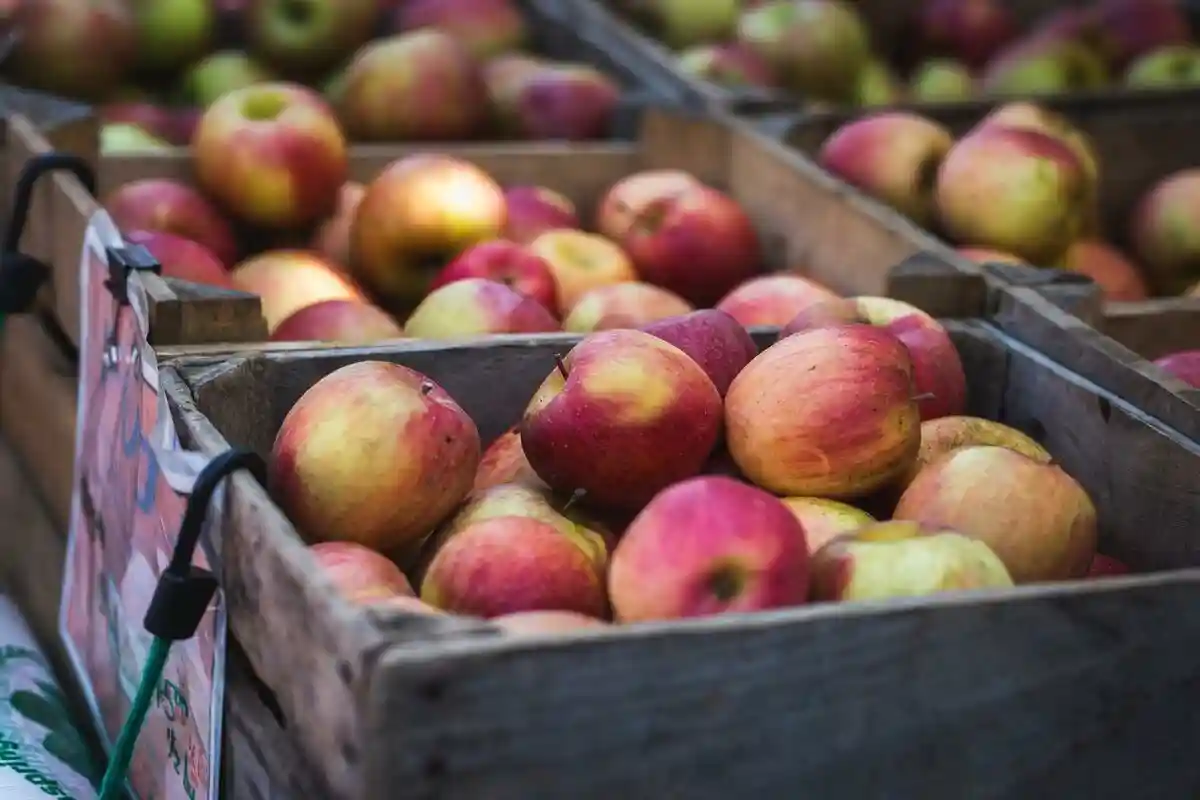 Производители яблок в Альтес-Ланде: высокая конкуренция. Фото: Dan DeAlmeida / unsplash.com