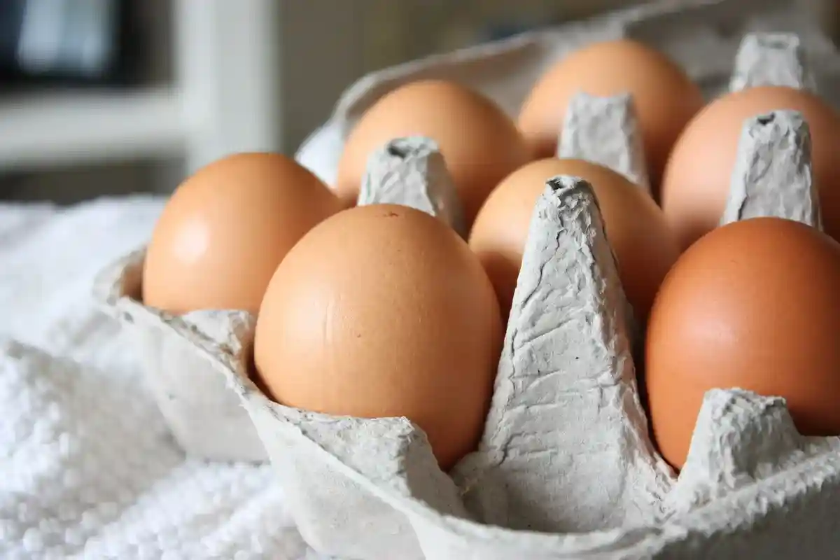 Яйца и молочные продукты необходимо потреблять в ограниченных количествах. Фото: Morgane Perraud / Unsplash.com