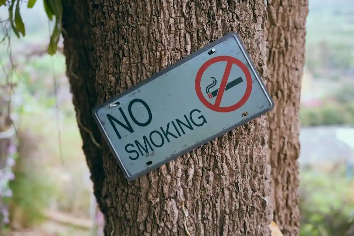 В Калифорнии запретят ароматизированнный табак. Фото: Markus Winkler / pexels.com