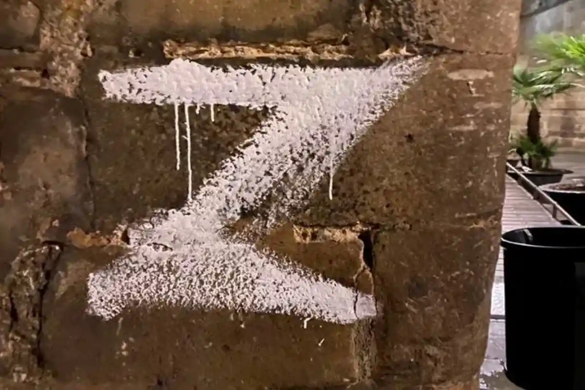 В Каталонии украинец рисовал на улицах буквы Z. Фото: mossos.gencat.cat
