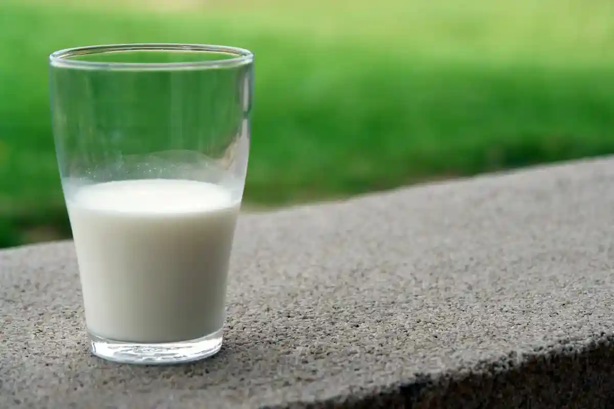 Является ли молоко полезным