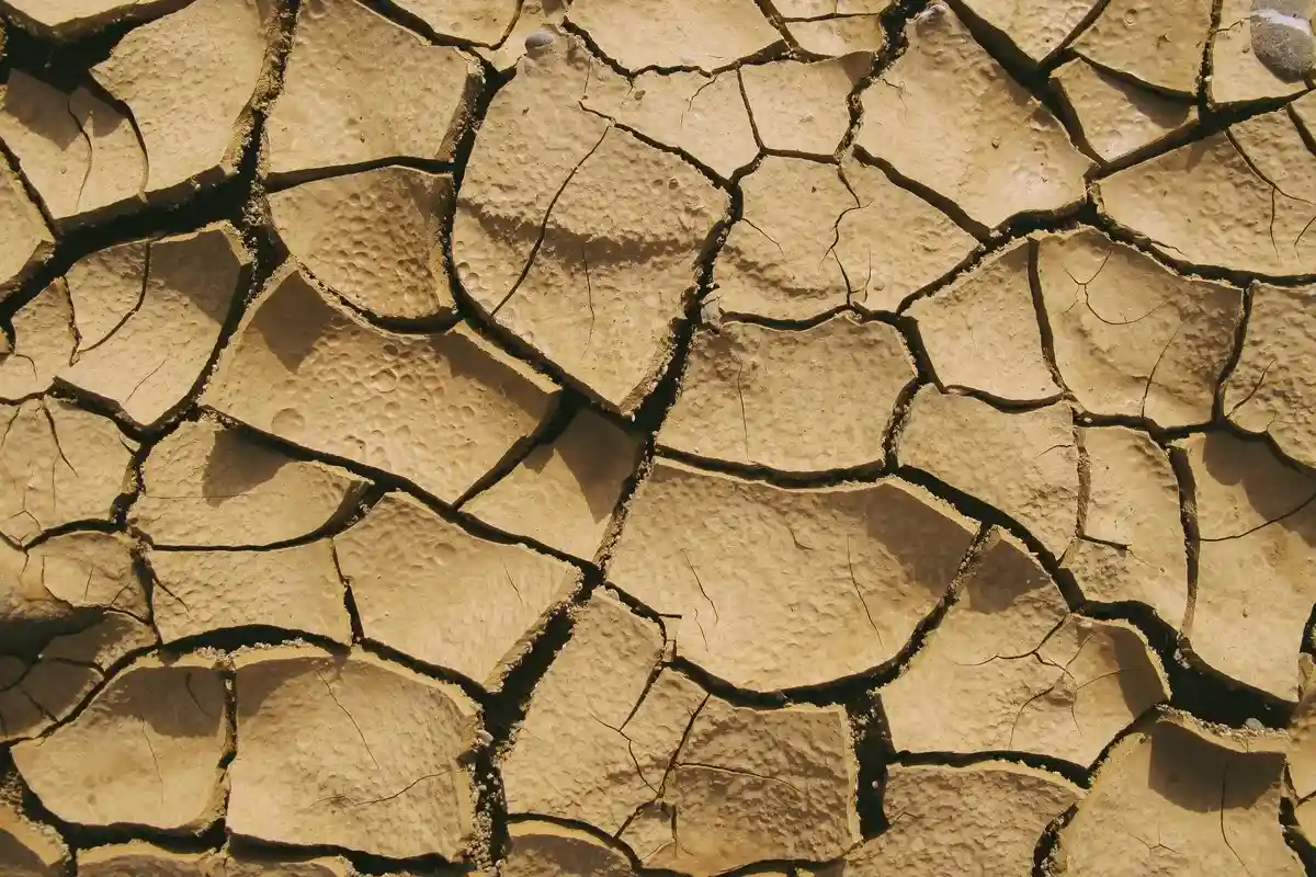 Сильная засуха терзает Западную Канаду. Фото: Francesco Ungaro / pexels.com 