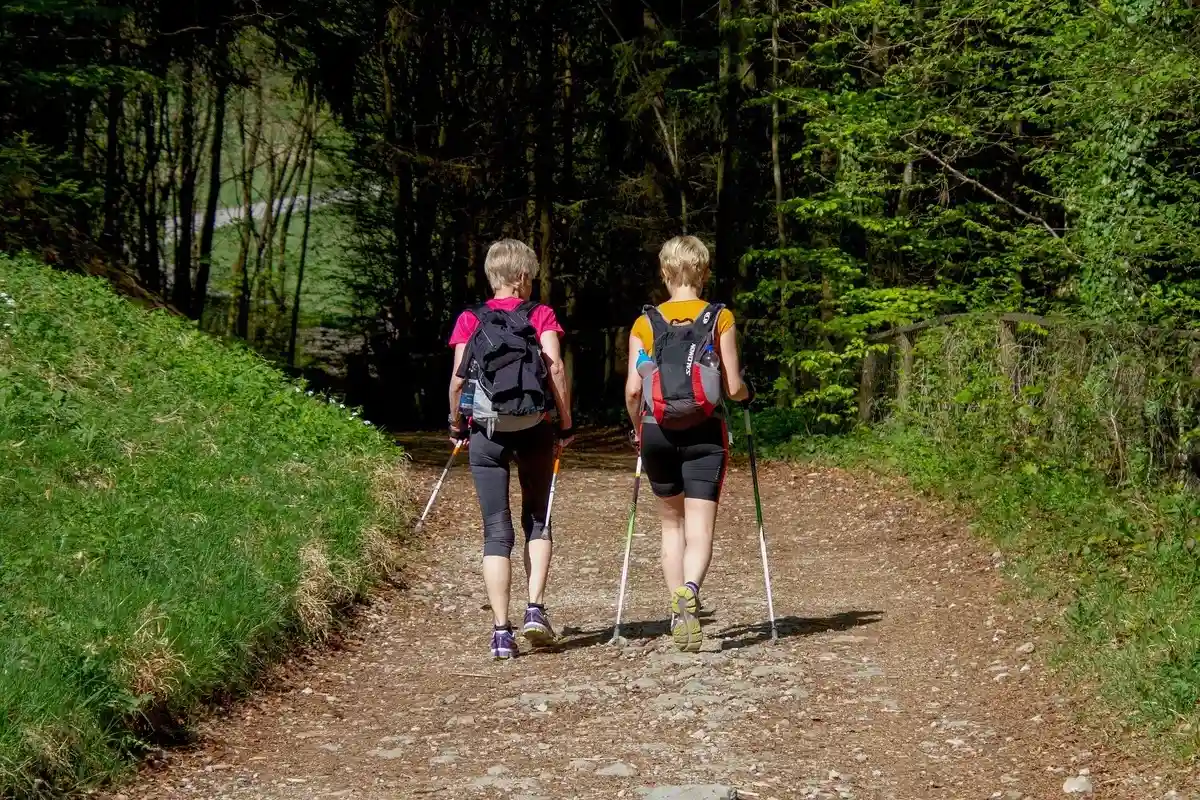 Скандинавская ходьба: людям в возрасте рекомендуется начинать тренировки с небольших дистанций, плавно увеличивая нагрузку. Фото: Ingrid / Pixabay.com