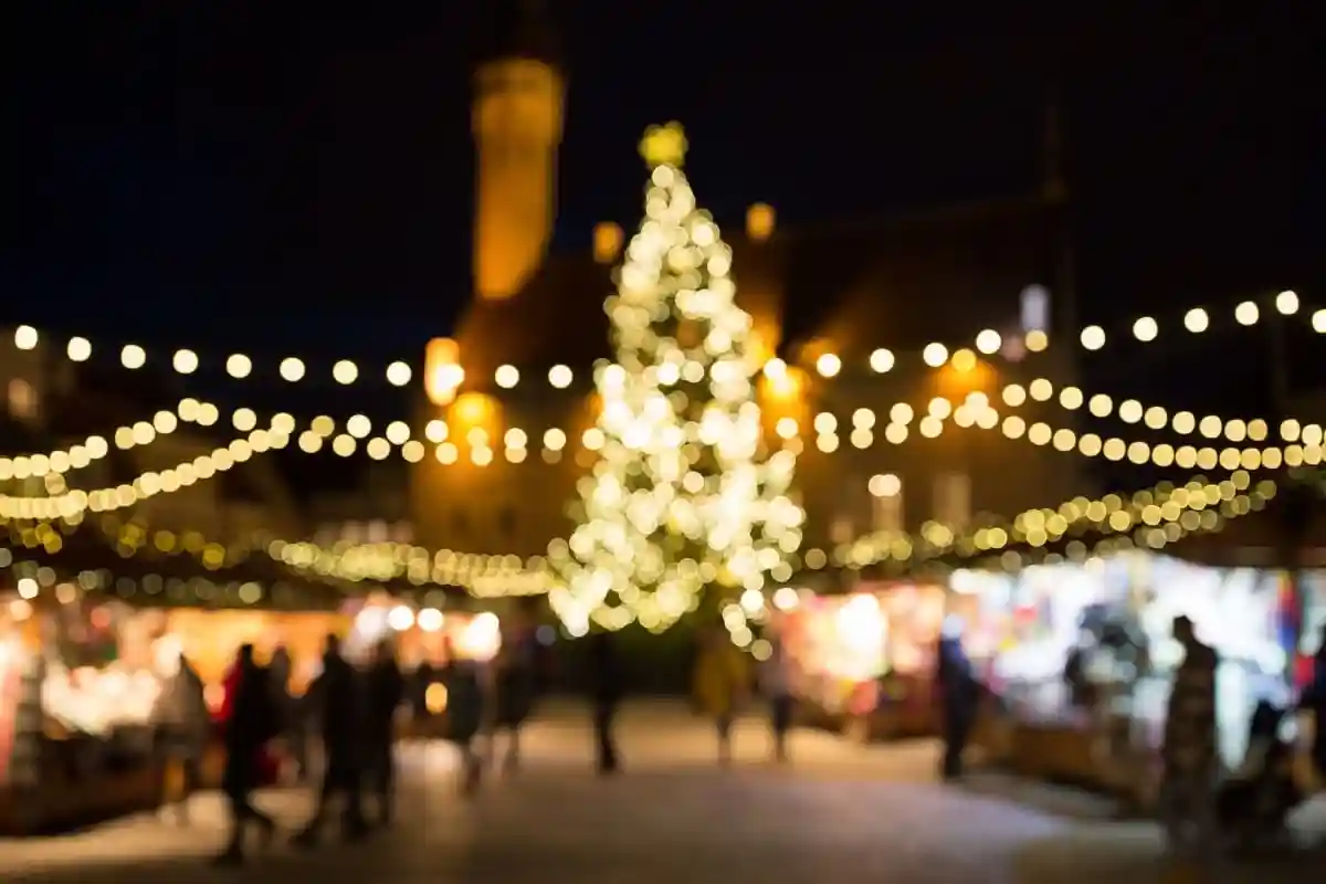 В городах Германии устанавливают рождественские елки. Фото: Ground Picture / shutterstock.com