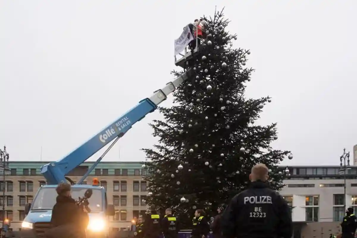 Активисты спилили верхушку рождественской елки в Берлине