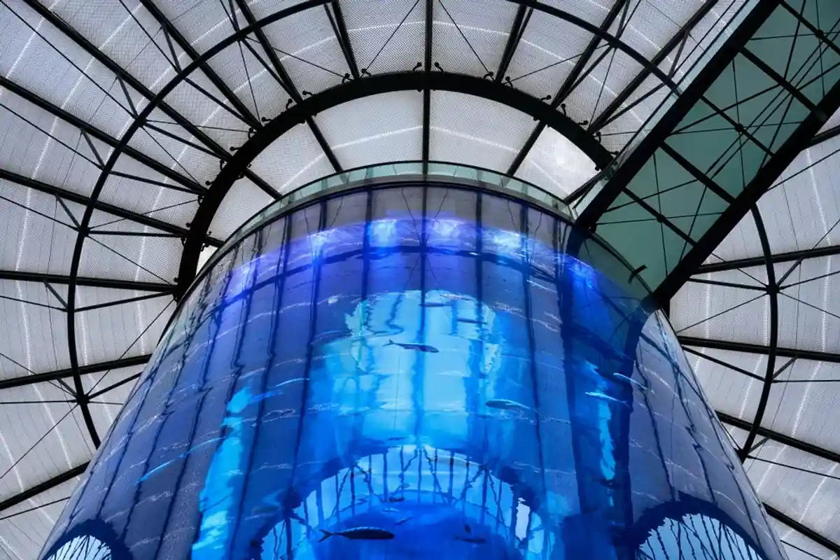 самый большой цилиндрический аквариум / LuisPinaPhotography / shutterstock.com