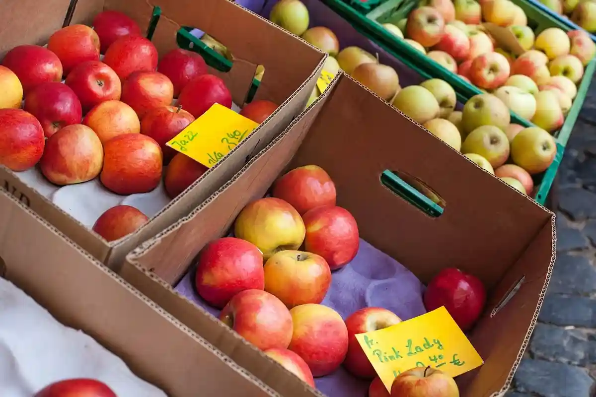 10 способов сэкономить на продуктах в Германии: покупайте сезонные продукты. Фото: Shutterstock.com
