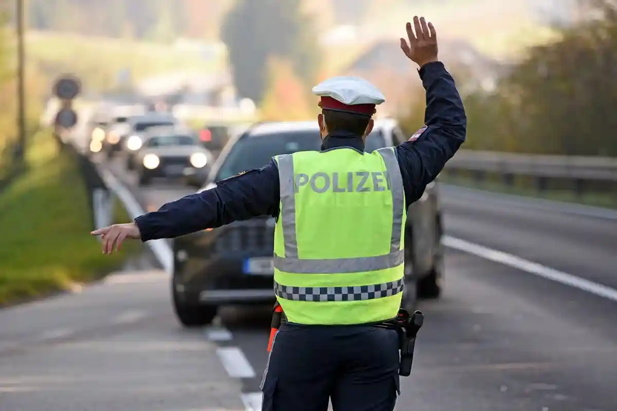 Какие уголовные преступления лишают немецкого гражданства