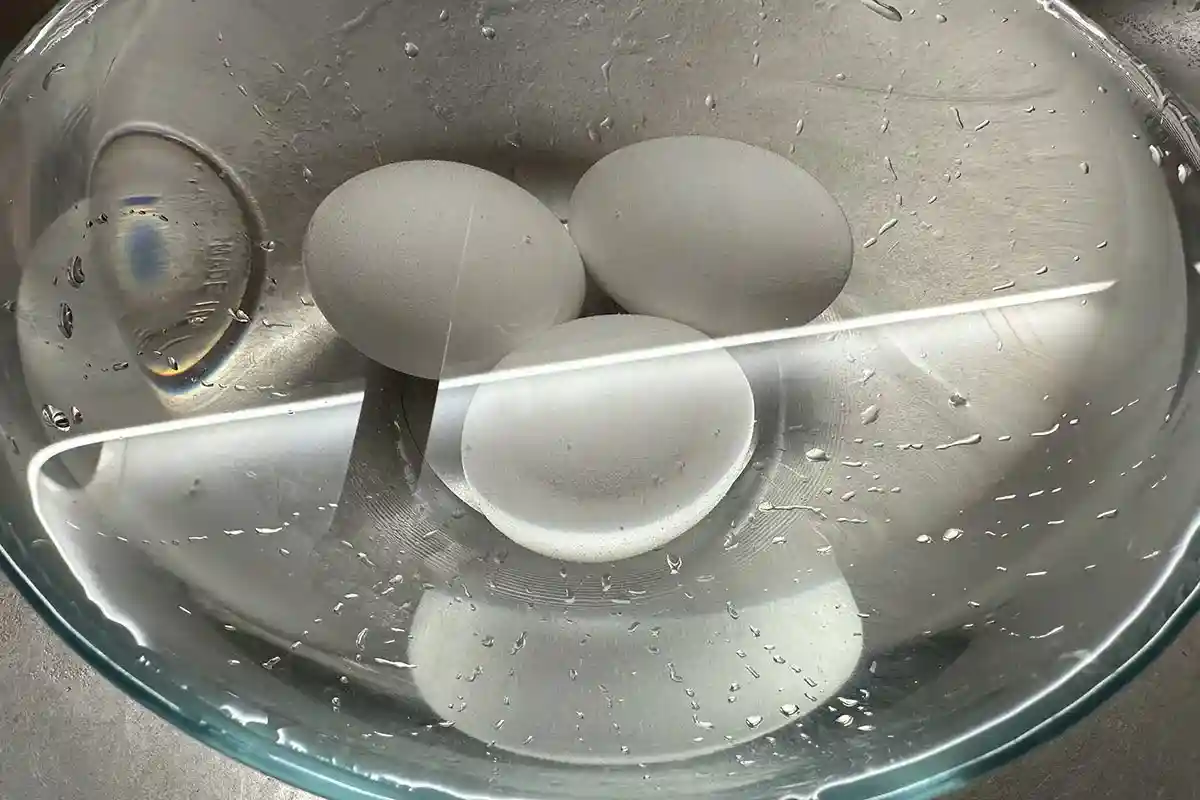 Если яйцо всплывет на поверхность, то оно испортилось. Фото: aussiedlerbote.de