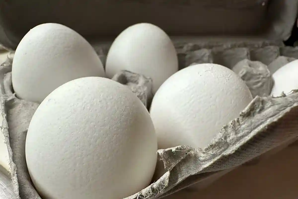 Почему яйца нужно хранить правильно. Фото: aussiedlerbote.de
