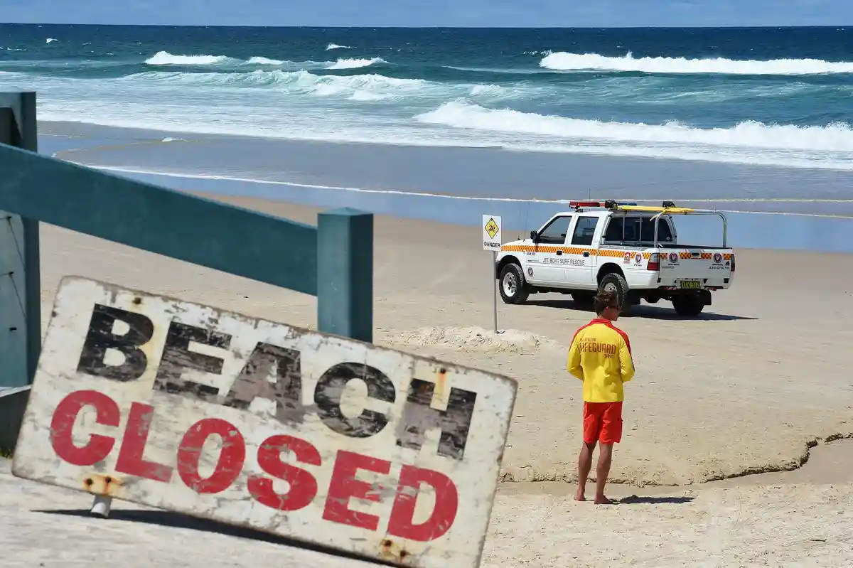 Тревога — акулы! Известный пляж в Сиднее закрыт