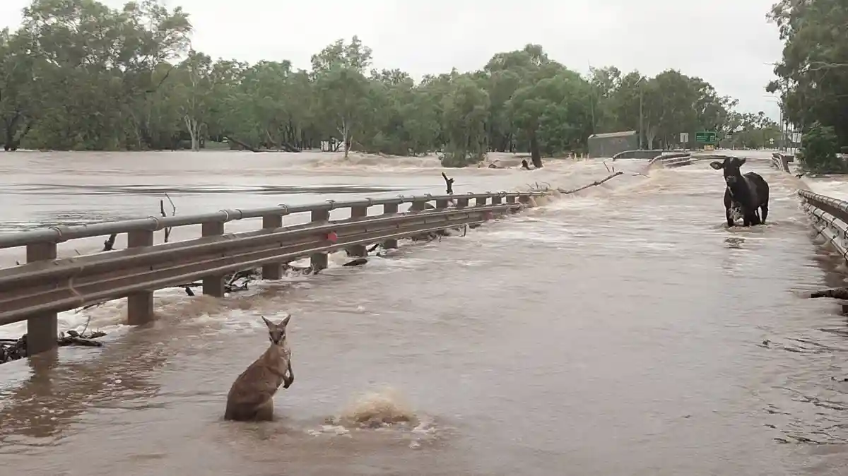 Наводнения в Австралии