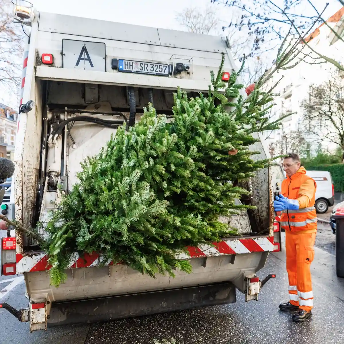 Городская уборка собирает выброшенные новогодние елки