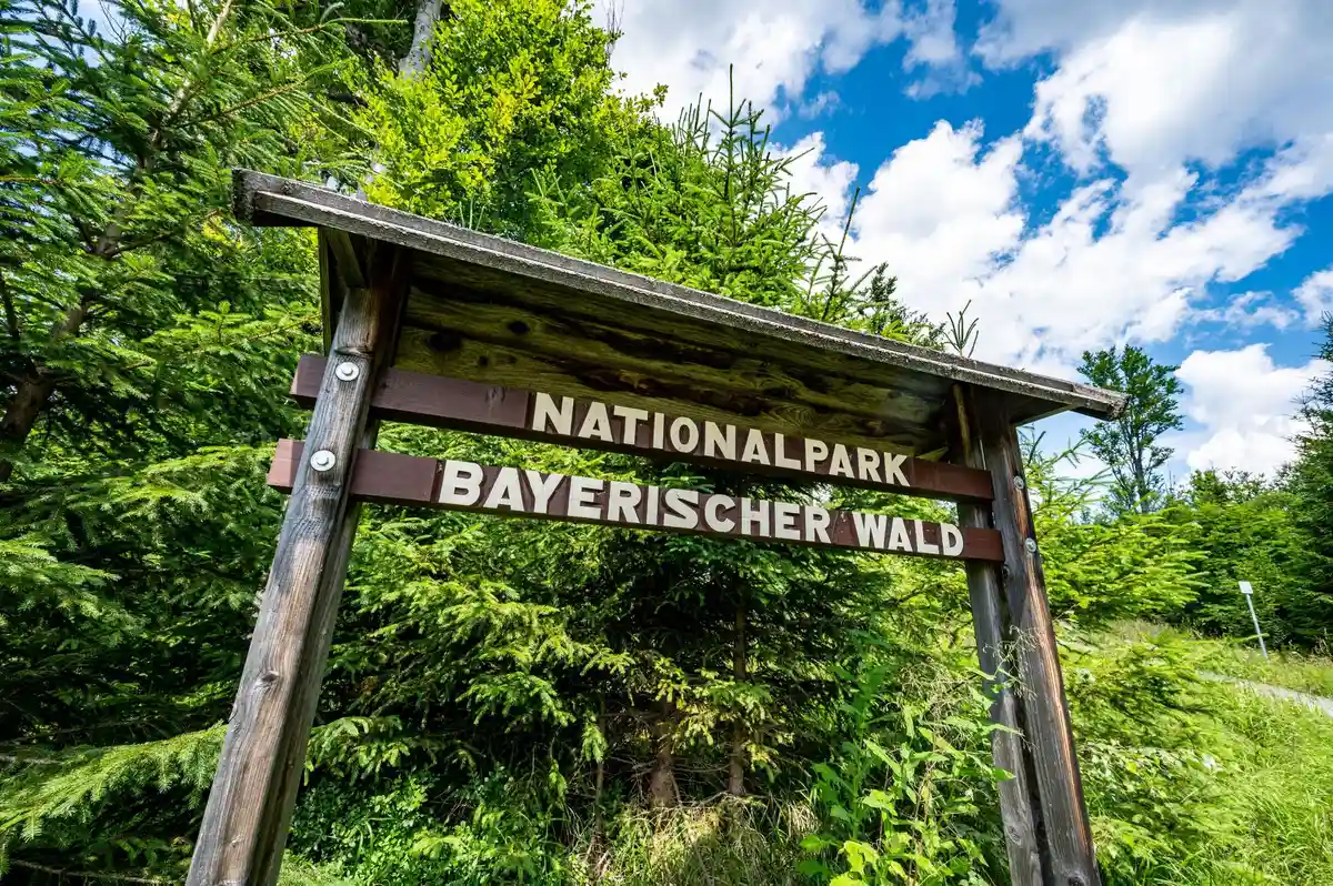 Национальный парк "Баварский лес