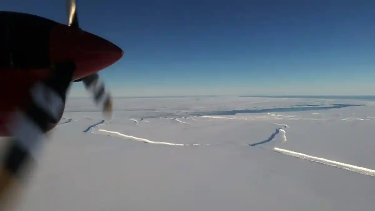 Огромный айсберг откололся в Антарктиде