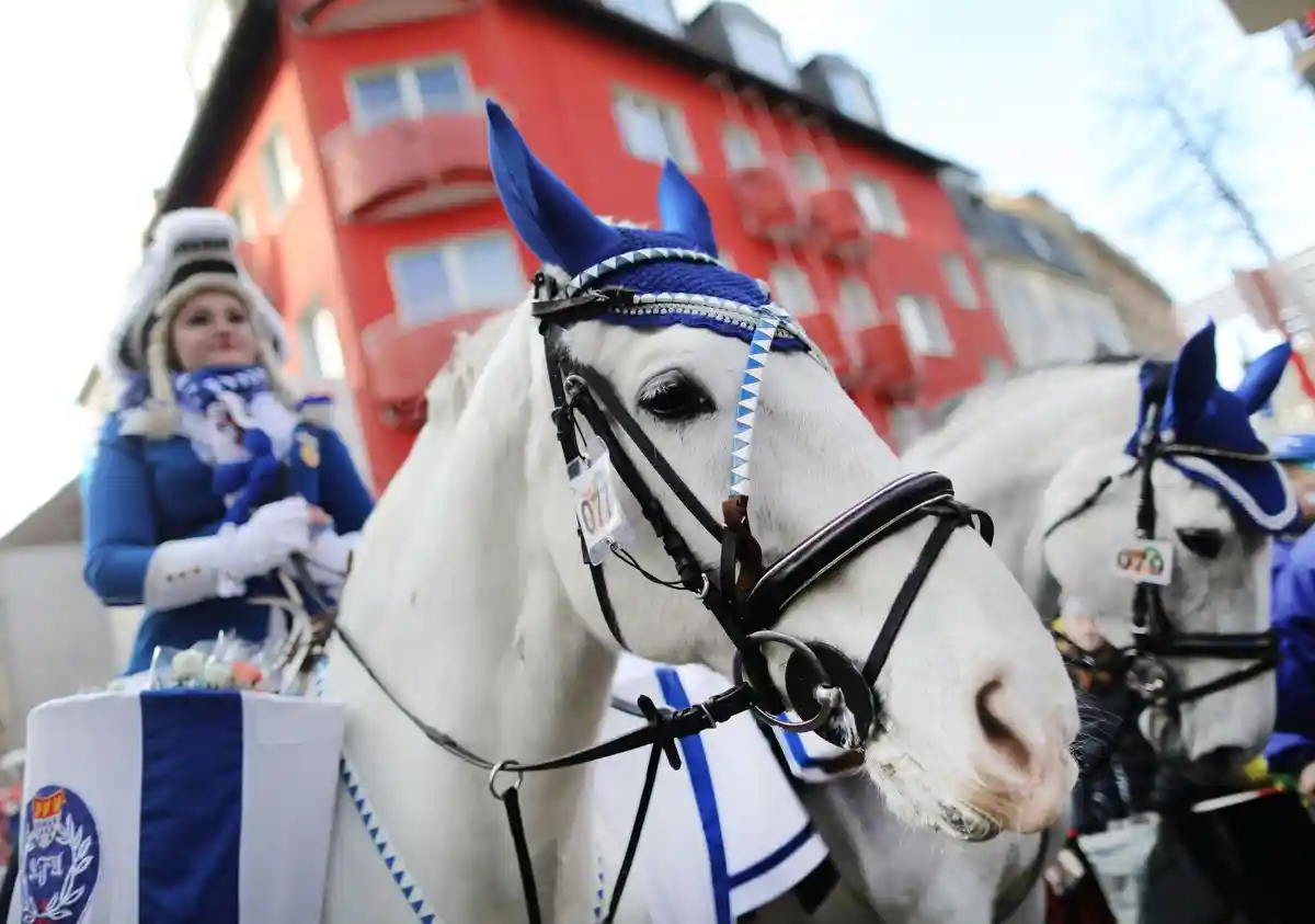 Лошади в карнавальных шествиях